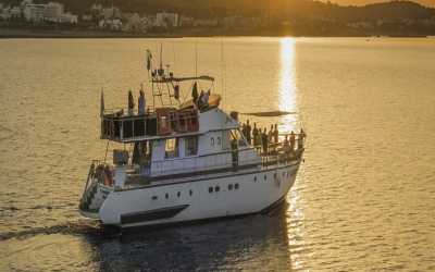 !tr_error=pl->rejs!, Wycieczka Dream of Turtles ST Georgios II rejs poranny z Protaras - marzenie zobaczyć żółwie dla rodzin