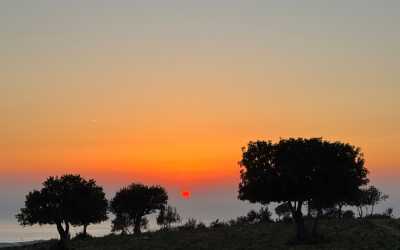 Wycieczka fakultatywna, Wycieczka Marathon Jeep Safari - Narodowy Park Akamas z Cypru Północnego