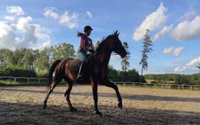 Wycieczka fakultatywna, Sport Horse (min. na poziomie BOJ)